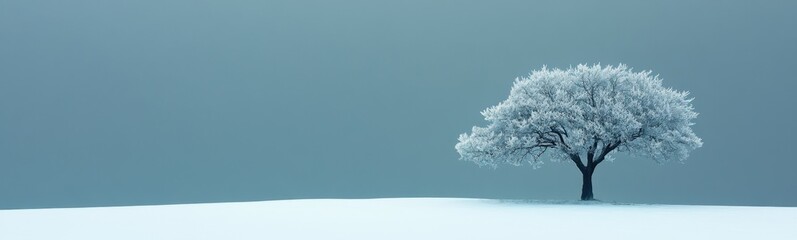 Fototapeta premium Snowy tree in a field with a blue sky in the background, winter, christmas holiday