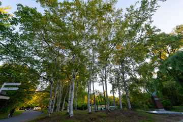 北海道　中島公園の風景