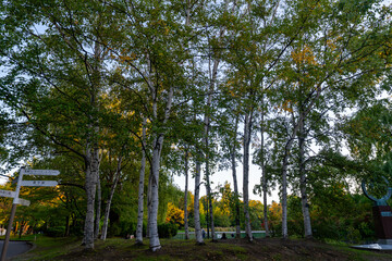 北海道　中島公園の風景