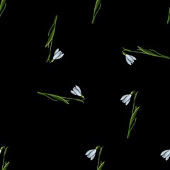 Snowdrops Chaotic Pattern with Black Background