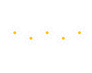 Daisy flower floral divider border frame decoration. Suitable for poster, card, invitation, flyer. Colored outline decorative vector design isolated illustration.