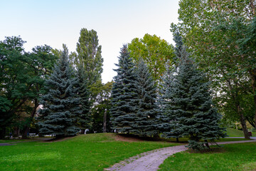北海道　中島公園の風景
