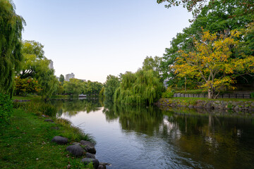 Obraz premium 北海道 中島公園の風景