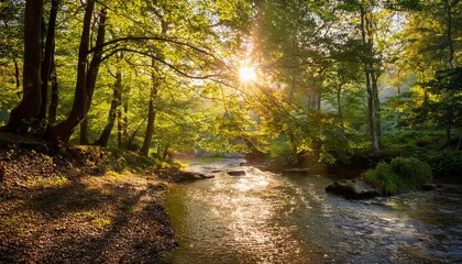 Golden Sunlight Filtering Through the Leaves of a Dense Forest, Illuminating a Peaceful River Winding Through a Valley, Captured for a Serene Nature Landscape Scene