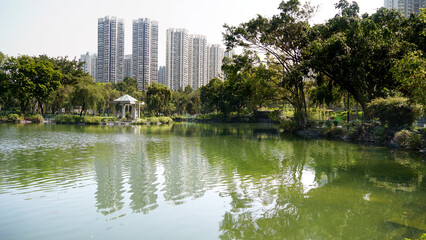 
Tin Shui Wai park lake in Hong Kong