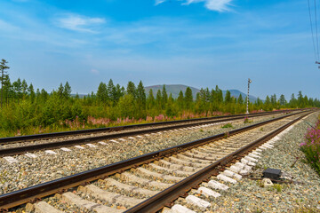 Fototapeta premium Railroad tracks in rural landscape with forest and distant mountains