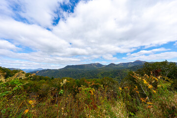 北海道の道路の風景　羊蹄山方面