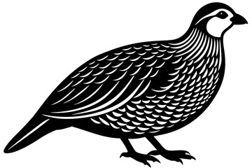 Cute Partridge silhouette minimalistic vector art illustration