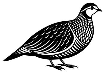 Cute Partridge silhouette minimalistic vector art illustration