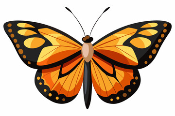  Cute Butterfly  vector   art illustration
