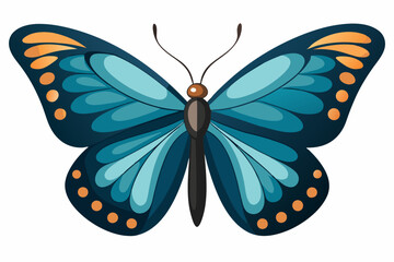  Cute Butterfly  vector   art illustration