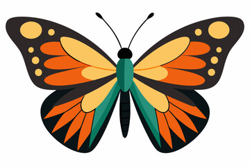  Cute Butterfly  vector   art illustration