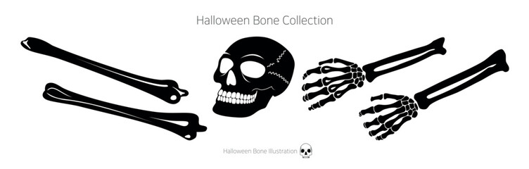 Halloween Bone Collection. Skull Collection, Human Body, Skull Illustration. Skull