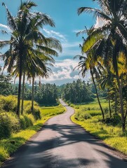 Obraz premium Scenic Tropical Road Lined With Lush Palm Trees