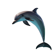 Obraz premium Close-up of dolphin fish against a white background 