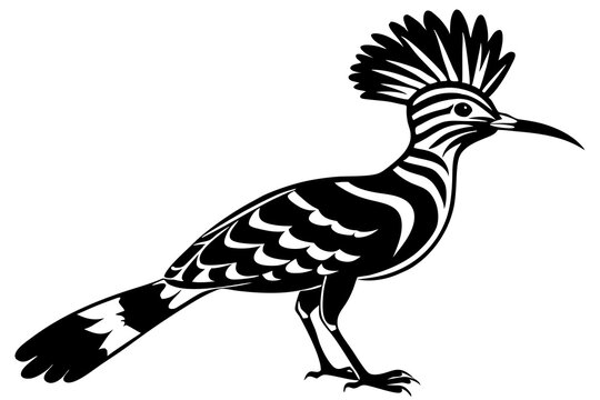 recommend clip art:  Cute Hoopoe silhouette minimalistic vector art illustration 