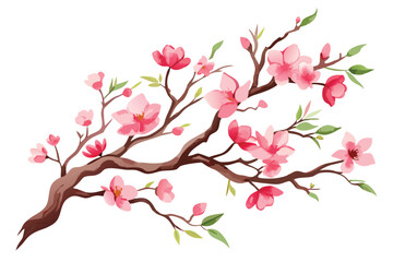 Watercolor sakura branch, vector illustration on white background.