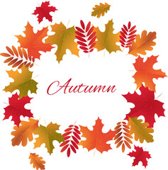 Autumn composition with frame of colorful fall leaves on a transparent background. Autumn card template design banner