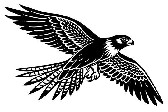 black and white falcon soaring in flight clip art preview