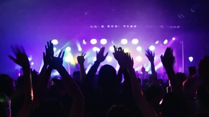 Crowd cheering and raising arms during live music event