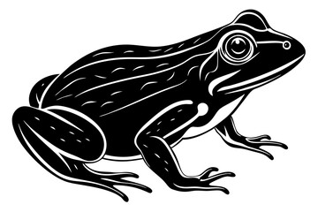 Cute Frog silhouette minimalistic vector art illustration 