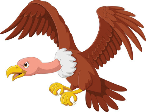 Illustration of cartoon vulture bird flying