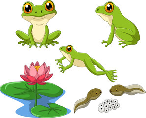 Cartoon collection of frog life