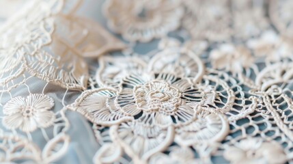 Obraz premium Delicate Lace Texture with Floral Embroidery Pattern