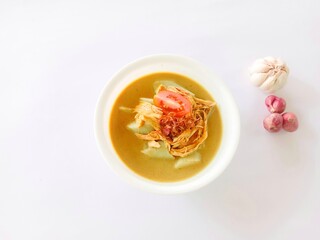 opor ayam, traditional Indonesian food made from chicken cooked with coconut milk and spices served with white bowl on white background. savory and delicious dish