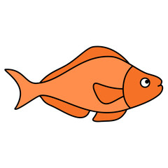 fish vector illustration