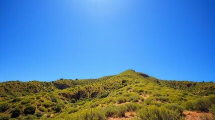 Fototapeta premium A rugged hillside terrain is blanketed with lush green vegetation, set against a brilliant blue sky, in the
