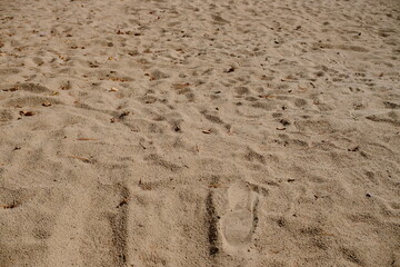 footprints and markings on the beach