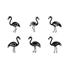 Obraz premium Flamingo on white background,Instant Digital Download. Illustration for prints on t-shirt and bags, posters 