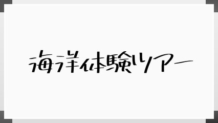 海洋体験ツアー ホワイトボード風イラスト