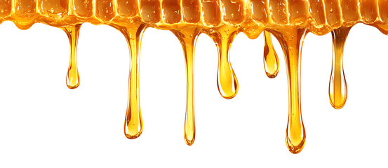 Dripping golden sweet honey flowing down the frame from the top over white and transparent background. PNG