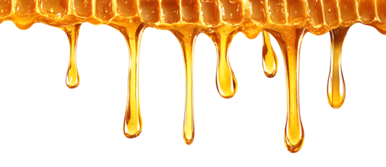 Dripping golden sweet honey flowing down the frame from the top over white and transparent background. PNG