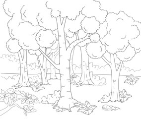 Forest colouring page. A dense forest line art. Forest outline drawing background. Forest black and white vector drawing. Rainforest line drawing. Tropical forest line drawing.