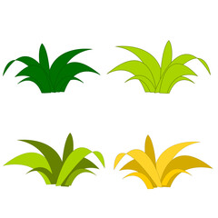 grass, bush set illustration
