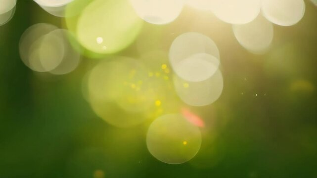 Step abstract spring forest scene filled bright green bokeh light enhanced real lights reflecting sunlight tree leaves captivating outdoor animation perfectly embodies vibrancy nature springtime