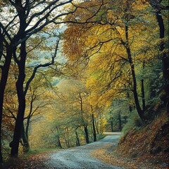 Fototapeta premium autumn in the park