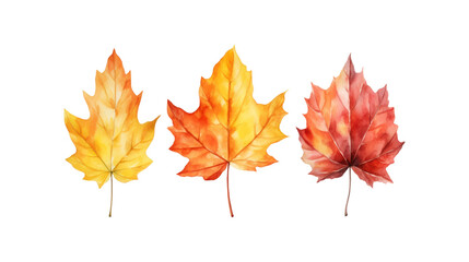 Fototapeta premium Autumn leaf branches are painted in watercolor. Ideal for fall themed designs, seasonal greeting cards, stationery, wedding invitations, and botanical illustrations. Generative AI