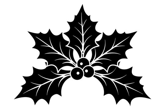 recommend clip art: christmas holly  silhouette ,holly illustration