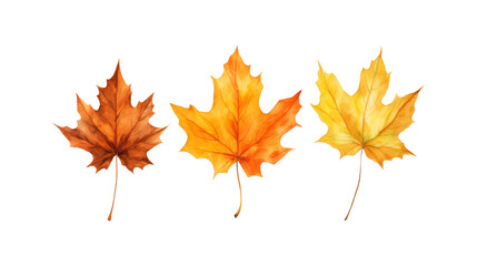 Fototapeta premium Autumn leaf branches are painted in watercolor. Ideal for fall themed designs, seasonal greeting cards, stationery, wedding invitations, and botanical illustrations. Generative AI