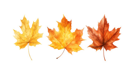 Autumn leaf branches are painted in watercolor. Ideal for fall themed designs, seasonal greeting cards, stationery, wedding invitations, and botanical illustrations. Generative AI