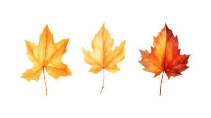 Autumn leaf branches are painted in watercolor. Ideal for fall themed designs, seasonal greeting cards, stationery, wedding invitations, and botanical illustrations. Generative AI
