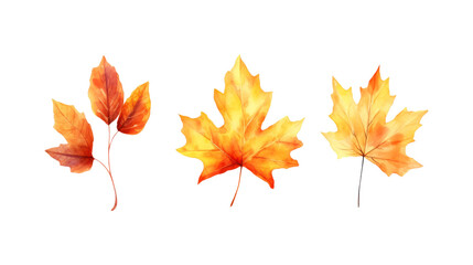 Fototapeta premium Autumn leaf branches are painted in watercolor. Ideal for fall themed designs, seasonal greeting cards, stationery, wedding invitations, and botanical illustrations. Generative AI