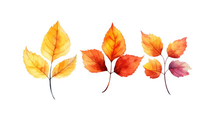 Naklejka premium Autumn leaf branches are painted in watercolor. Ideal for fall themed designs, seasonal greeting cards, stationery, wedding invitations, and botanical illustrations. Generative AI