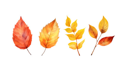 Fototapeta premium Autumn leaf branches are painted in watercolor. Ideal for fall themed designs, seasonal greeting cards, stationery, wedding invitations, and botanical illustrations. Generative AI