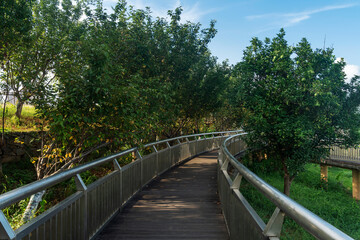 boardwalk in the City Park
