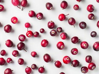 Cranberries on White Background